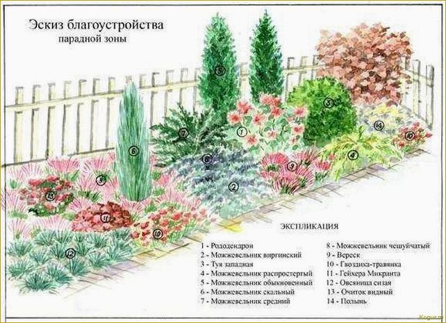 Как создать клумбу непрерывного цветения: всесезонный цветник в схемах и примерах