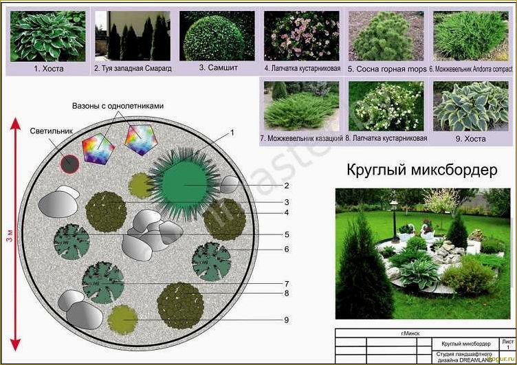 Как создать клумбу непрерывного цветения: всесезонный цветник в схемах и примерах