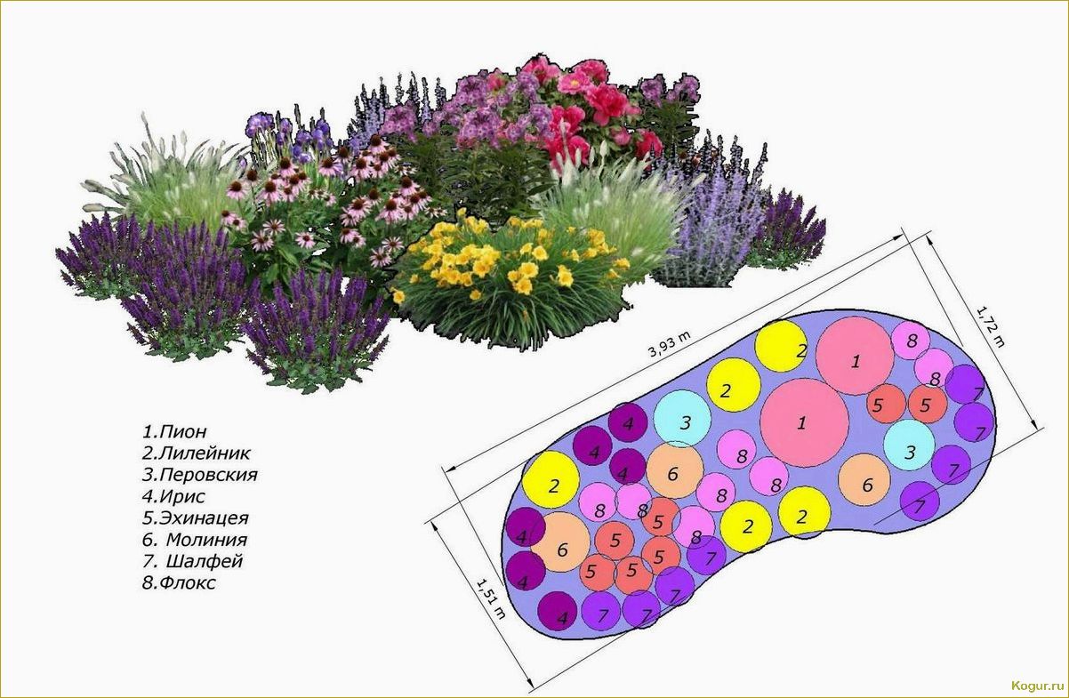 Как создать клумбу непрерывного цветения: всесезонный цветник в схемах и примерах