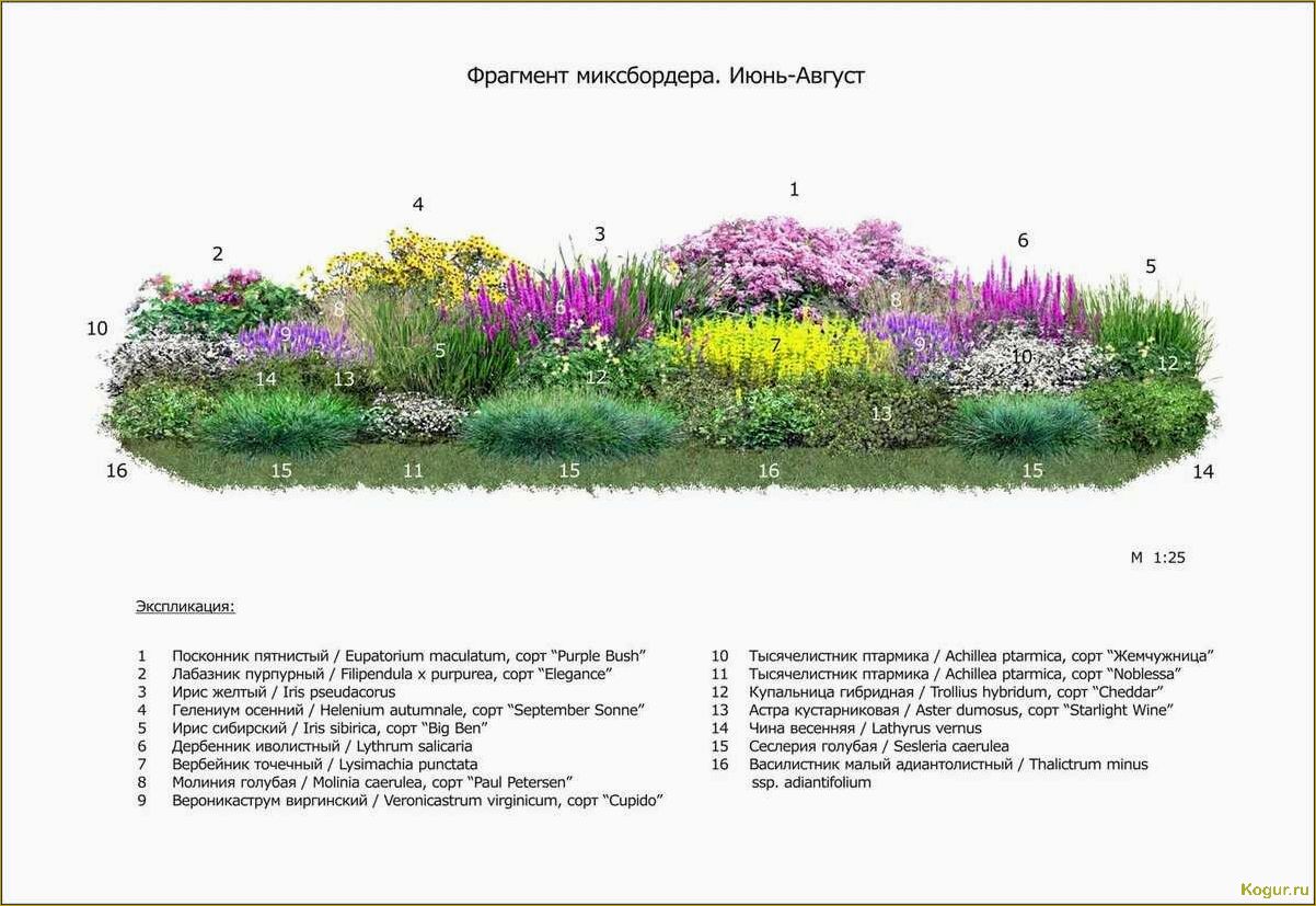 Как создать клумбу непрерывного цветения: всесезонный цветник в схемах и примерах