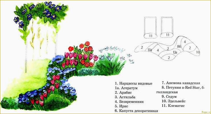 Как создать клумбу непрерывного цветения: всесезонный цветник в схемах и примерах