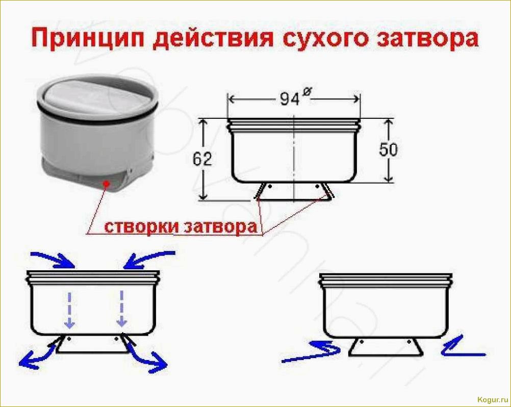 Трапики для слива воды: внешний вид и установка