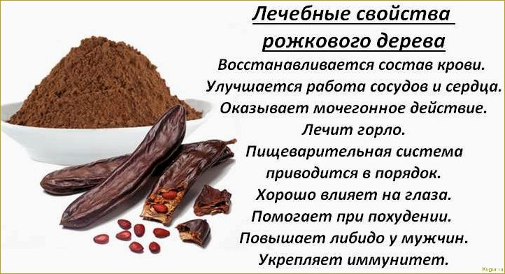 Рожковое дерево: кладезь полезных элементов и их польза