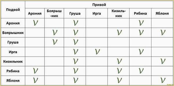 Лента для прививки деревьев — преимущества и основные характеристики