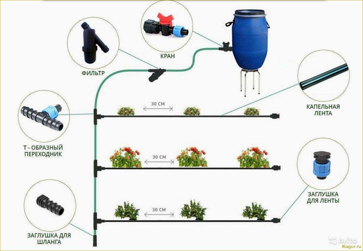 Монтаж системы капельного полива из капельницы своими руками