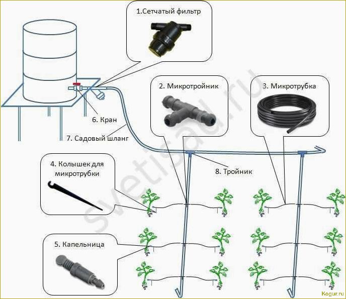 Монтаж системы капельного полива из капельницы своими руками