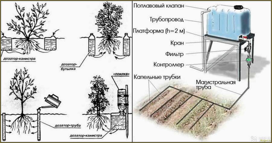 Монтаж системы капельного полива из капельницы своими руками