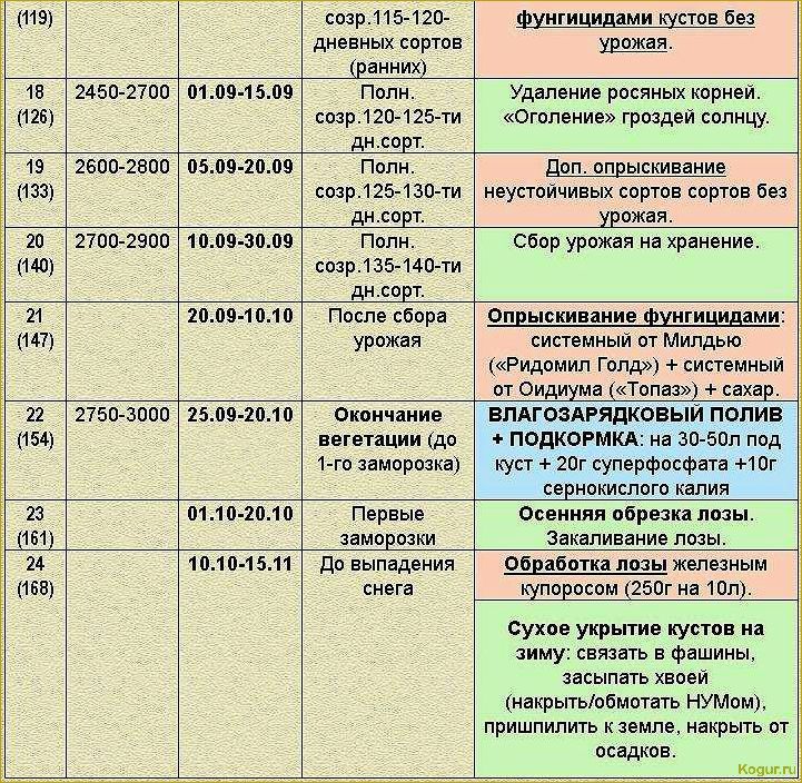 Опрыскивание плодовых деревьев весной: важность своевременной процедуры