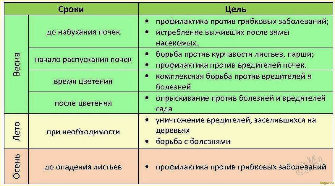 Опрыскивание плодовых деревьев весной: важность своевременной процедуры