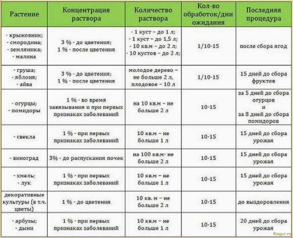 Опрыскивание плодовых деревьев весной: важность своевременной процедуры