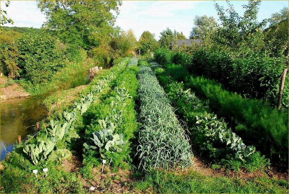 Пермакультура — новый взгляд на земледелие