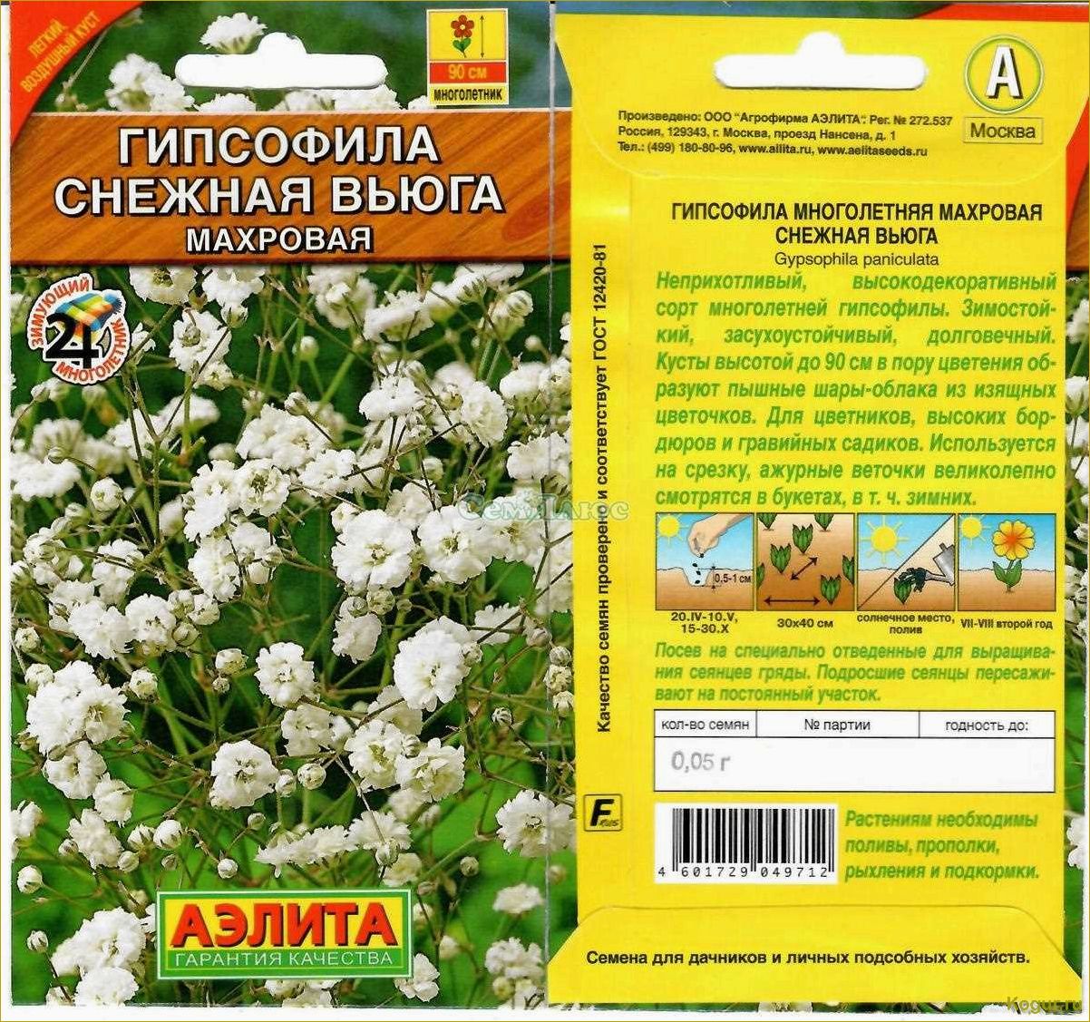 Самые популярные сорта гипсофилы: подробное описание и советы по уходу