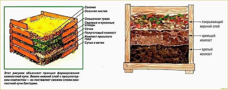 Почему теплые грядки являются оптимальным выбором для выращивания огурцов