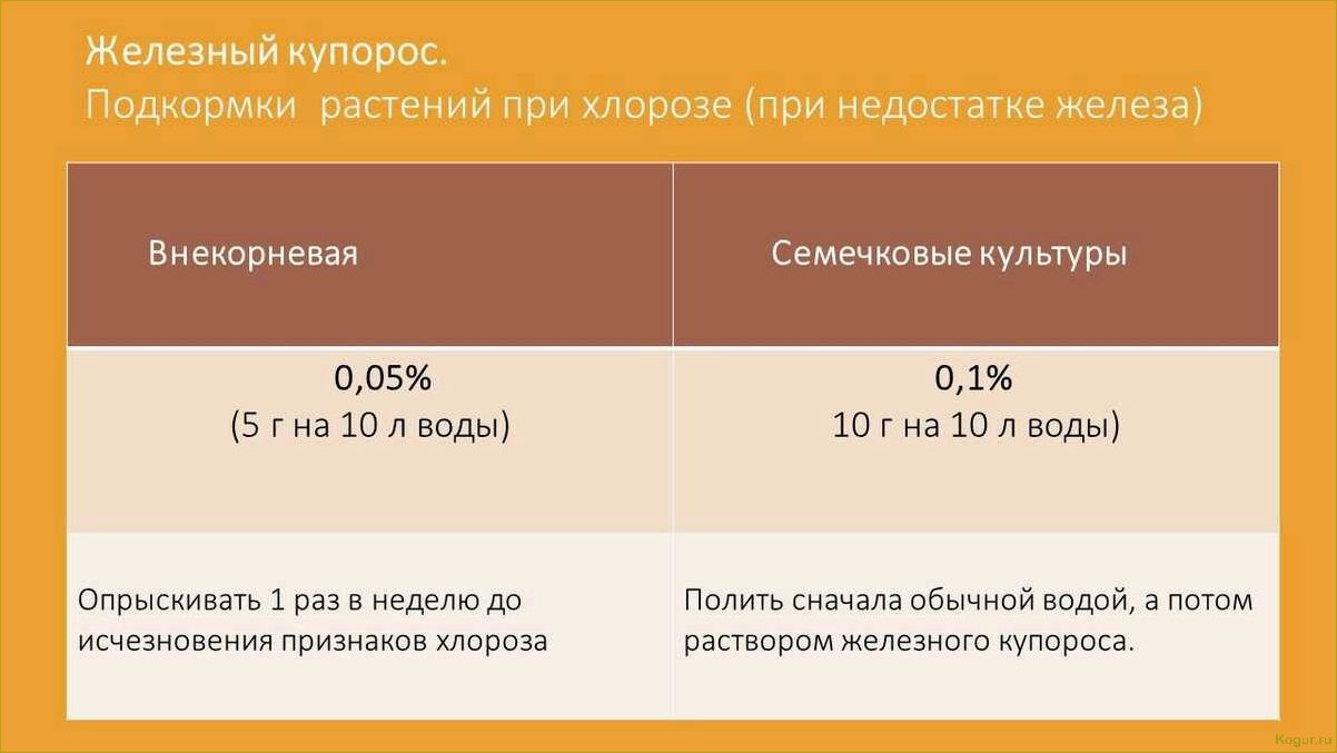 Сроки обработки виноградника весной медным купоросом