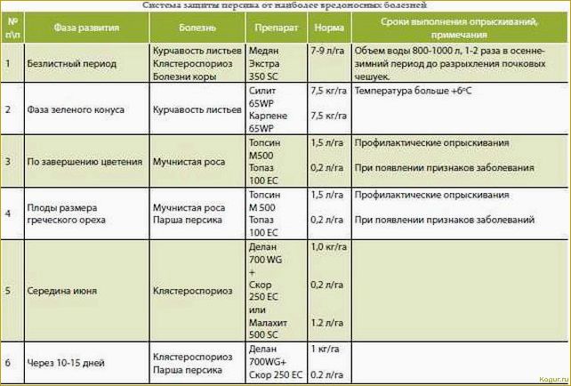 Сроки обработки виноградника весной медным купоросом