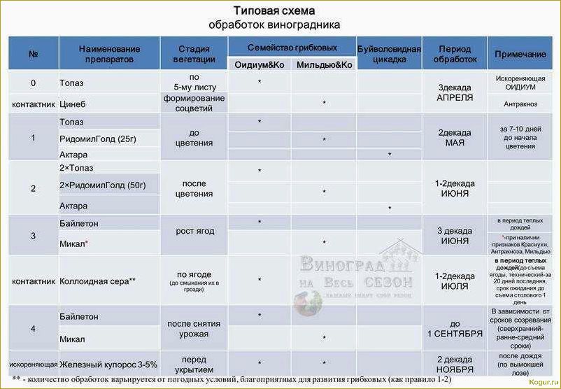 Сроки обработки виноградника весной медным купоросом
