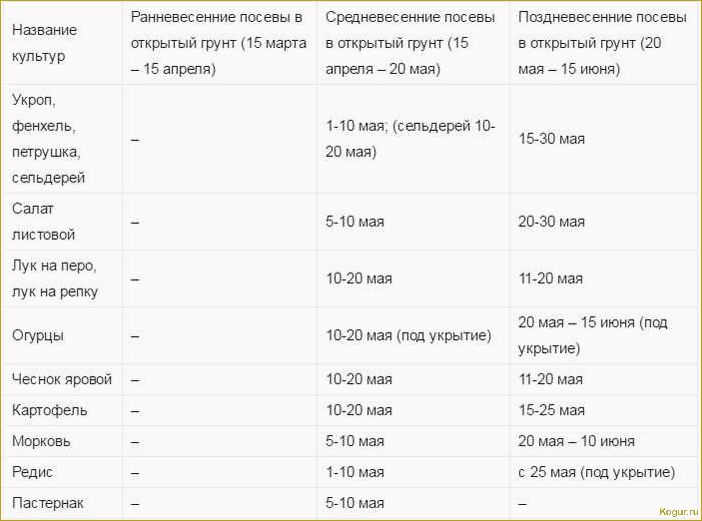 Сроки высадки моркови в Подмосковье