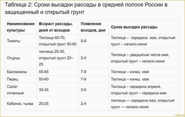 Сроки высадки моркови в Подмосковье