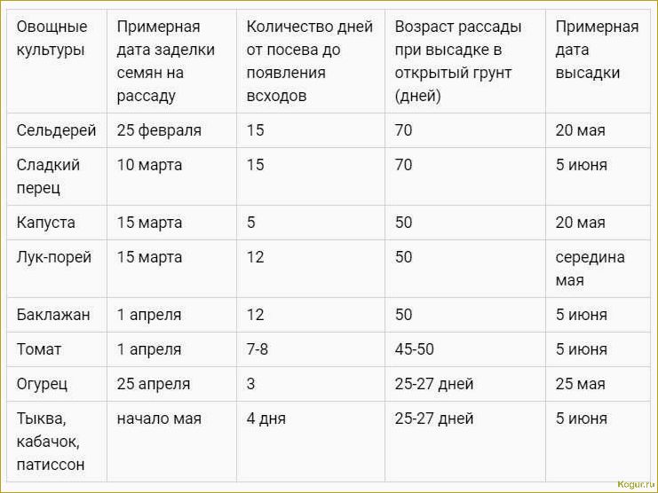 Сроки высадки моркови в Подмосковье