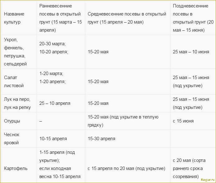 Сроки высадки моркови в Подмосковье