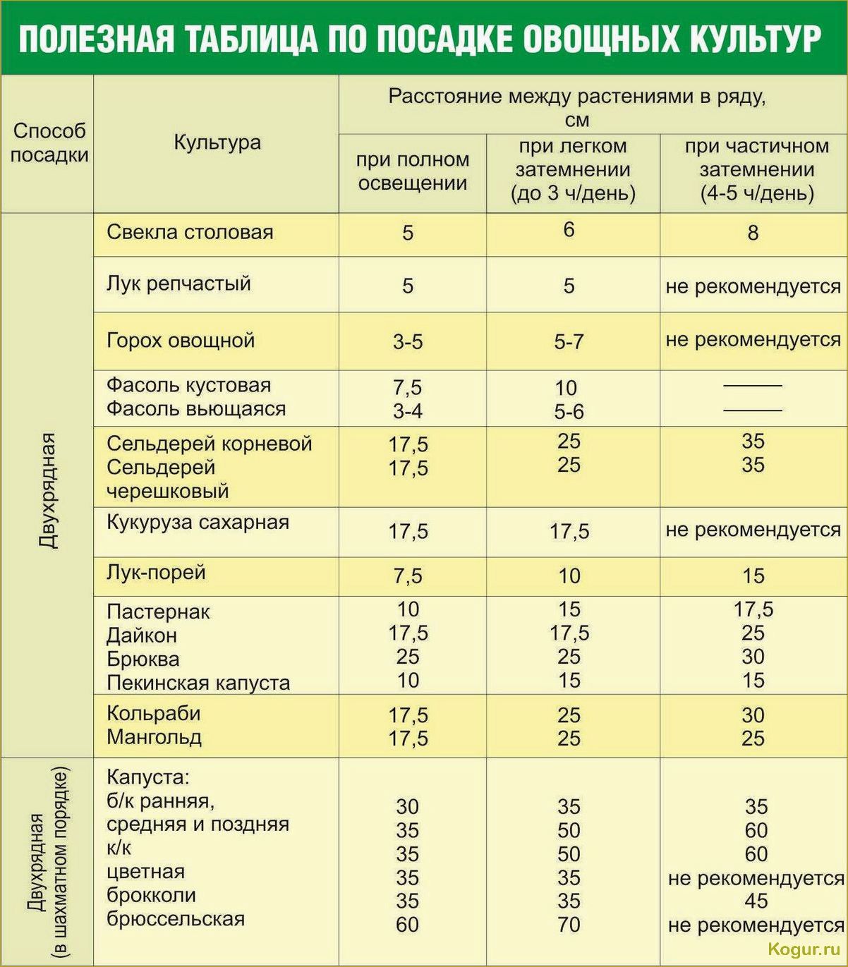 Сроки высадки моркови в Подмосковье