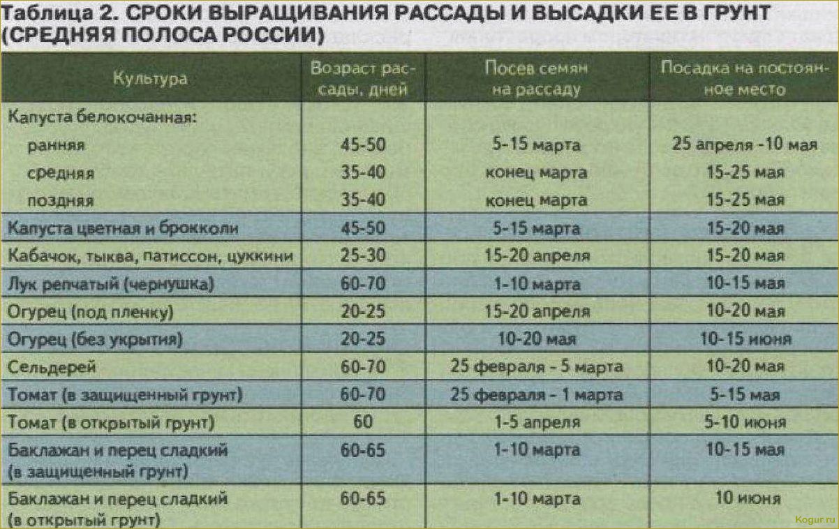 Сроки высадки моркови в Подмосковье