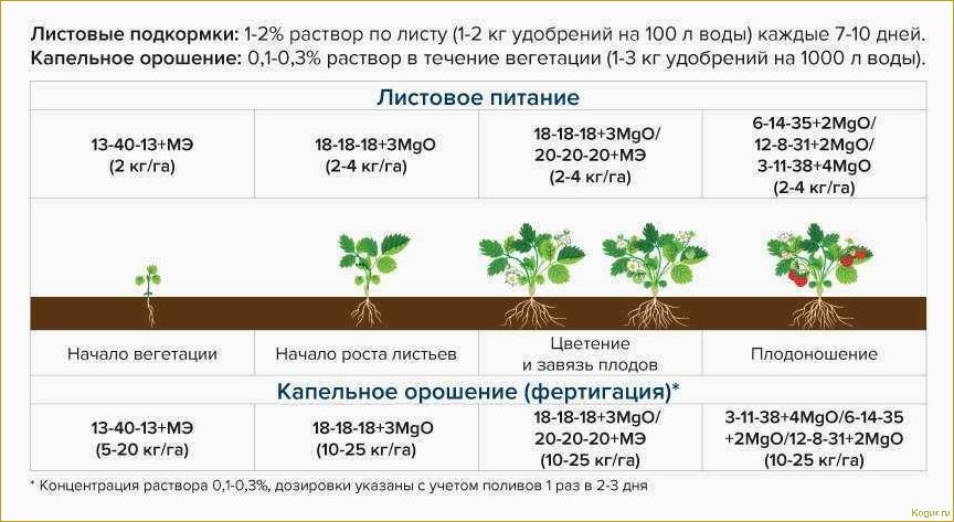 Узнайте о разных видах удобрений для рассады овощей и получите рекомендации по их правильному применению