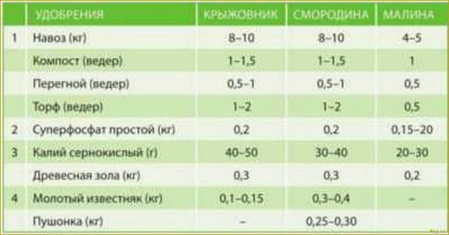 Узнайте о разных видах удобрений для рассады овощей и получите рекомендации по их правильному применению