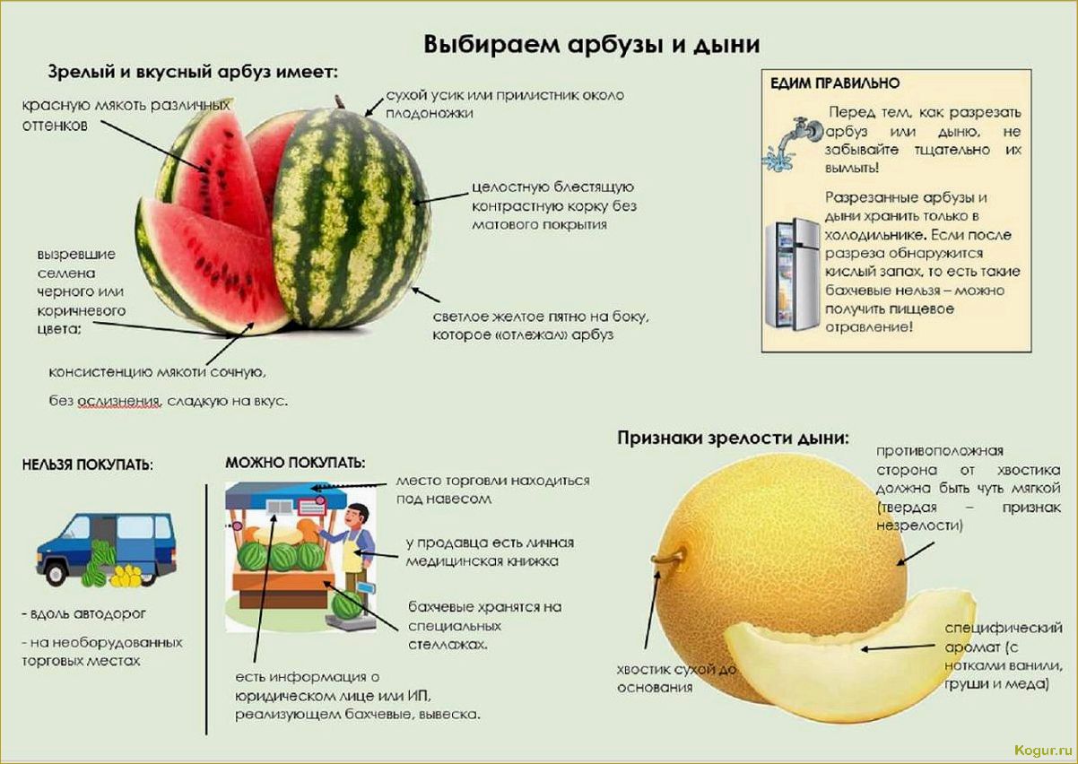 Как правильно выбрать спелую и сочную помело: секреты определения степени зрелости