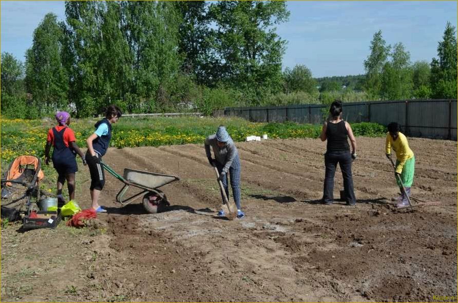 Жаркий май в саду: весенние хлопоты дачника