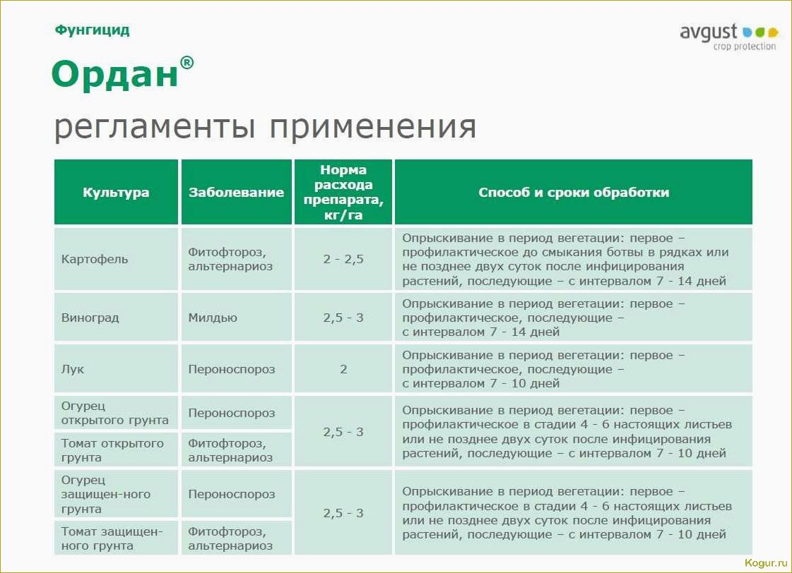 Борьба с фитофторой картофеля — эффективные химические и биологические средства