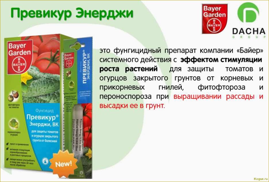 Фунгициды для растений: названия, особенности, преимущества и недостатки