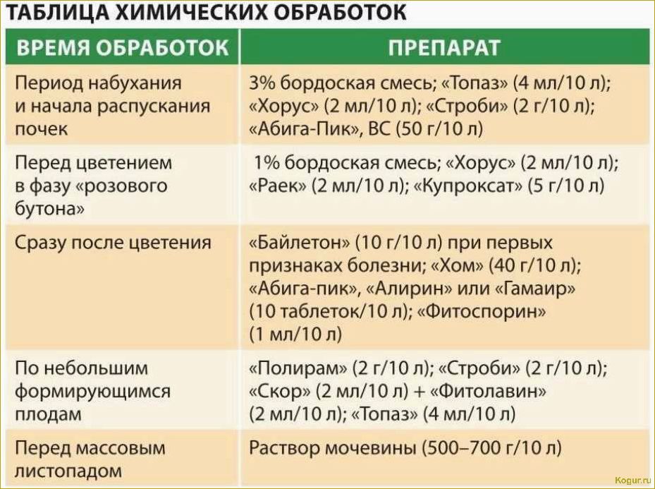 Фунгициды для растений: названия, особенности, преимущества и недостатки