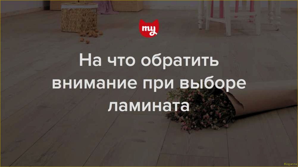 Как выбрать ламинат и на что обратить внимание