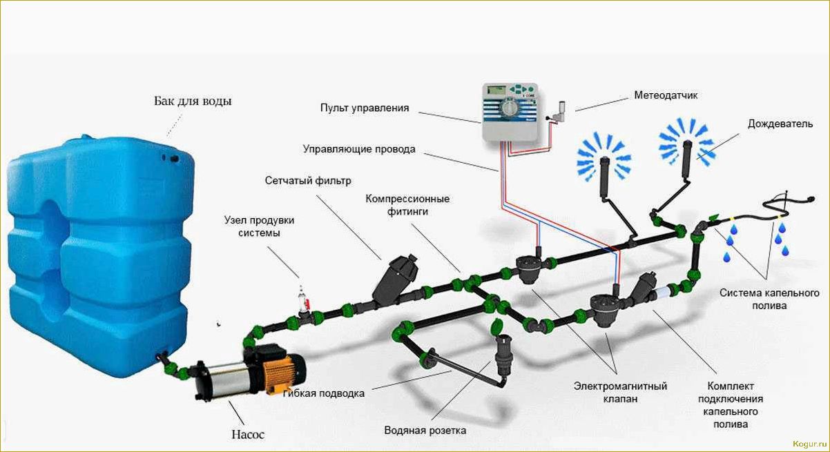 Как выбрать поливочную систему для газона?