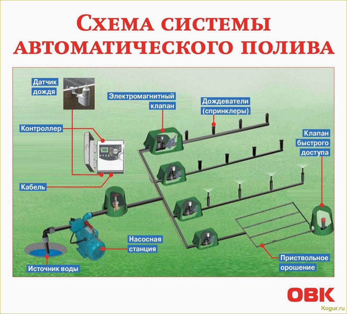 Как выбрать поливочную систему для газона?