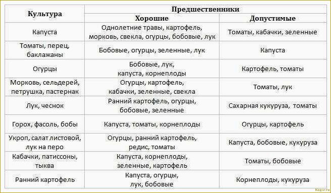 Лучшие предшественники для моркови