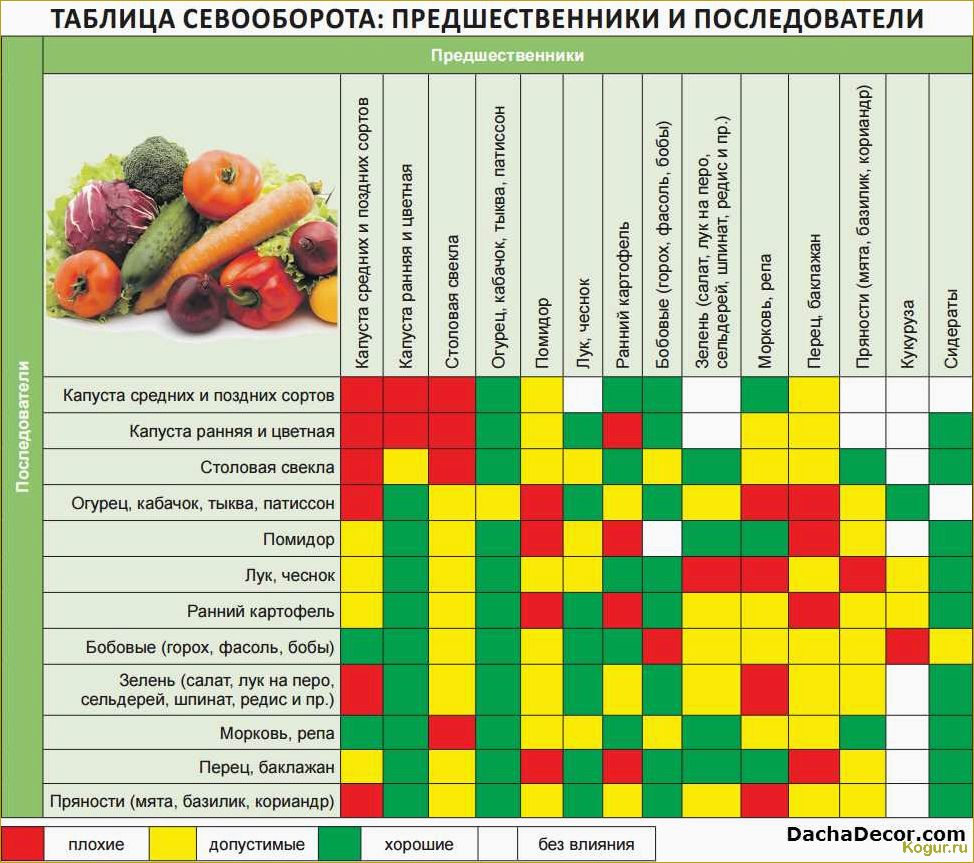 Лучшие предшественники для моркови