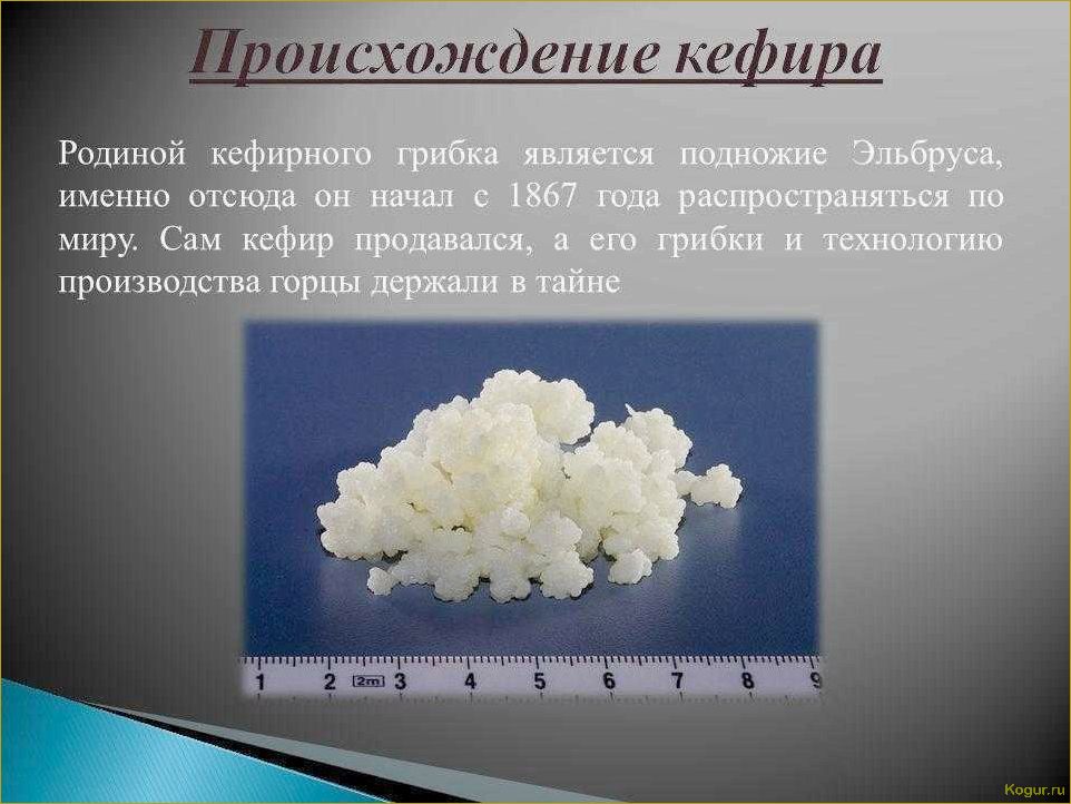 Особенности использования полезного кефира — можно ли кефирный гриб детям