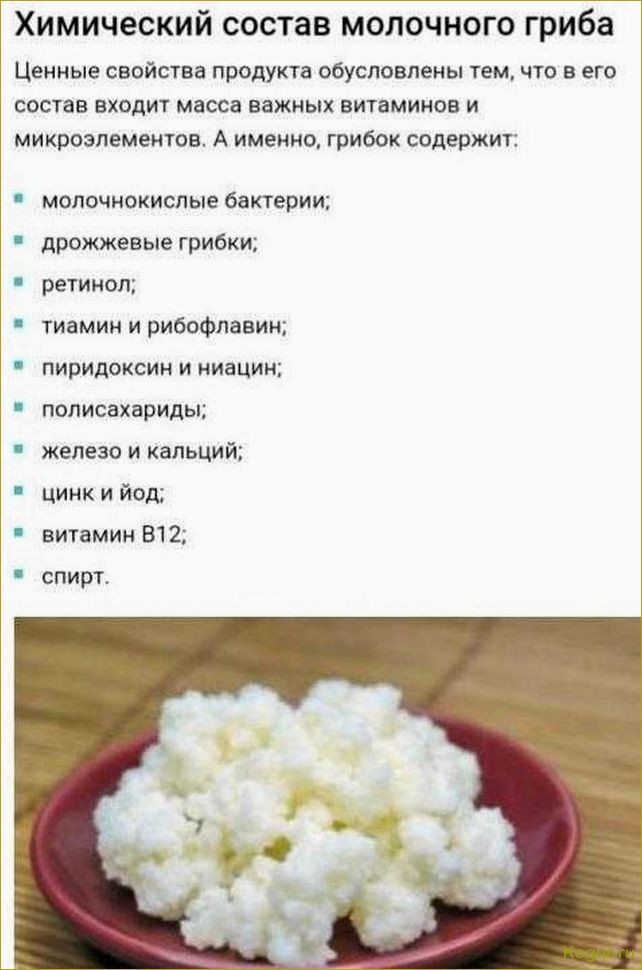 Особенности использования полезного кефира — можно ли кефирный гриб детям