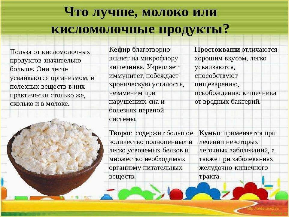 Особенности использования полезного кефира — можно ли кефирный гриб детям