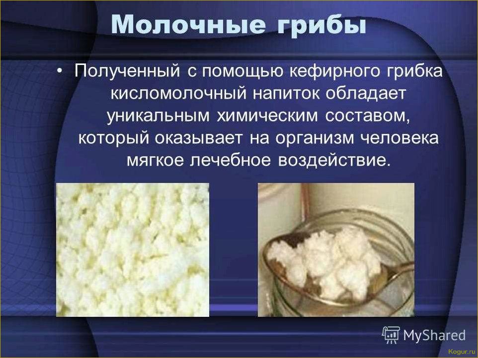 Особенности использования полезного кефира — можно ли кефирный гриб детям