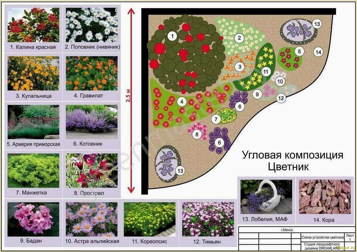 Пересадка многолетних цветов на клумбах приусадебных участков