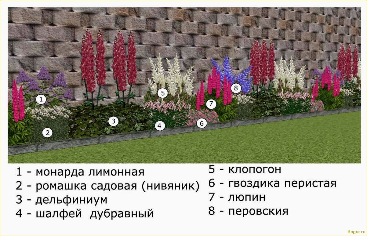 Пересадка многолетних цветов на клумбах приусадебных участков