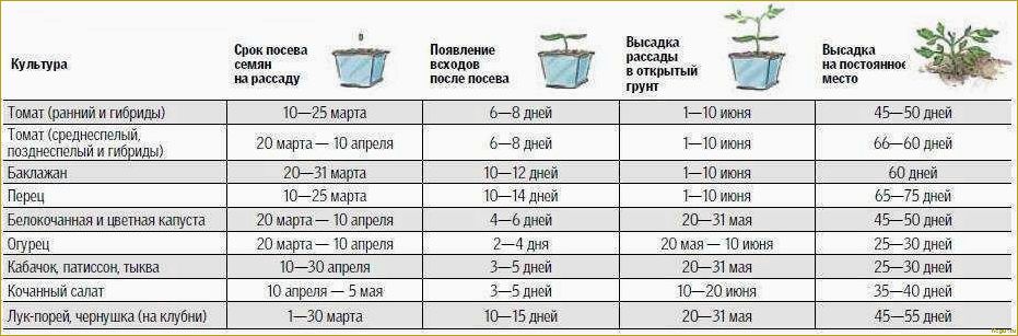 Посадка и уход за томатом сорта Севрюга в открытом грунте