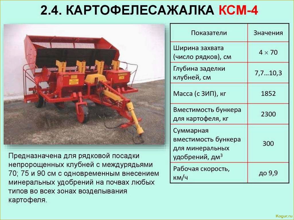 Посадка картофеля на Урале: особенности и советы