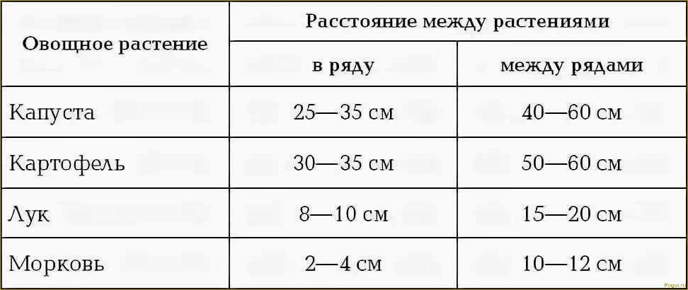 Посадка картофеля на Урале: особенности и советы