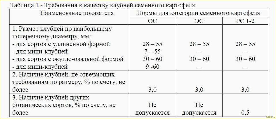 Поздняя посадка картофеля: секреты получения богатого урожая