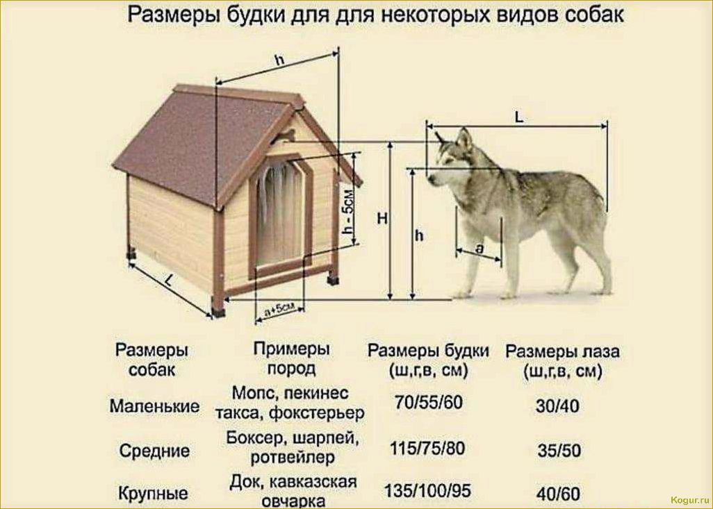 Принцип монтажа самодельного вольера для собаки