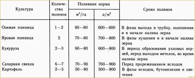 Оптимальные сроки полива картофеля в открытом грунте